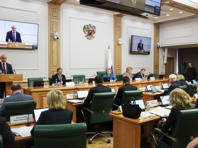 Заседание Совета по вопросам интеллектуальной собственности при Председателе Совета Федерации РФ